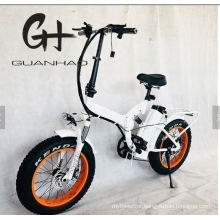 20inch Full Suspension OEM/ODM 4.0 Tire Fat Rear Ce 48V 21ah 1000W Folding E Bike Electric Bicycle